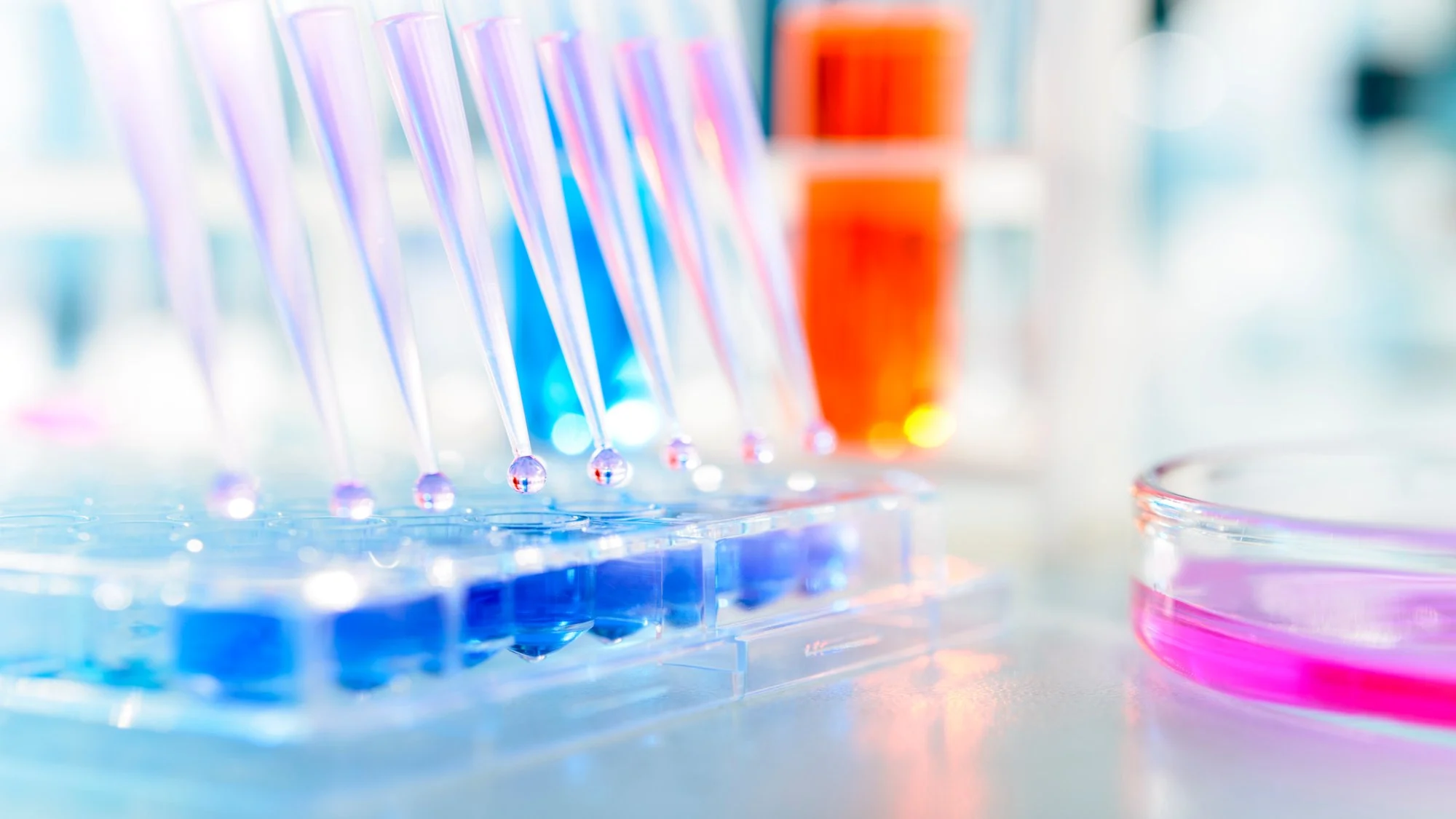 Une scène de laboratoire avec des tubes à essai et un flacon en verre, illustrant le rôle de la biotechnologie dans l'amélioration de la qualité des produits de beauté.